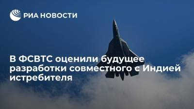 Шугаев: Hindustan Aeronautics заморозила совместную с Россией программу истребителя FGFA