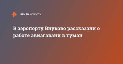 В аэропорту Внуково рассказали о работе авиагавани в туман - ren.tv - Москва