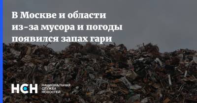 В Москве и области из-за мусора и погоды появился запах гари