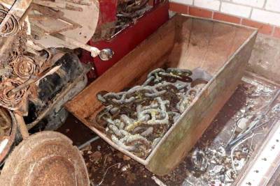 В Красногородском районе поймали вандала, укравших цепи с военного мемориала