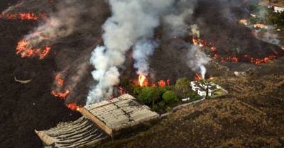 ФОТО: Вулканическая лава на Канарах выжигает землю и превращает растительность в пепел