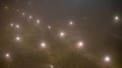 Cиноптик Татьяна Позднякова рассказала, что туман над Москвой рассеется к полудню