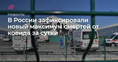 В России зафиксировали новый максимум смертей от ковида за сутки