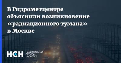 В Гидрометцентре объяснили возникновение «радиационного тумана» в Москве