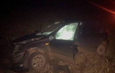 В Башкирии «Лада Гранта» сбила лошадь: водителя доставили в больницу