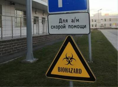 В Петербурге при высокой смертности незначительно падает заболеваемость коронавирусом
