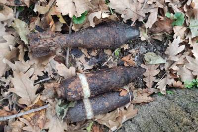 Сотрудники Росгвардии уничтожили 9 опасных боеприпасов найденных в Крымском районе