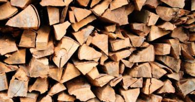 Зампредседателя ГБАО проверил запасы дров и угля на зиму