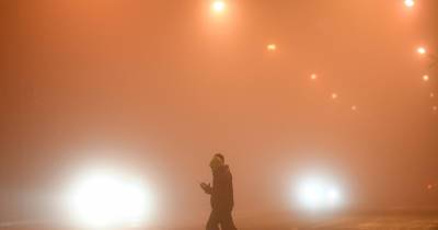 В Гидромецентре назвали московский туман радиационным
