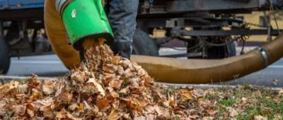 В Мариуполе коммунальщики вывезли более 300 тонн листьев
