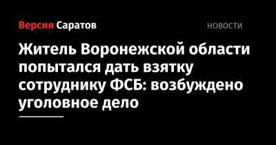 Житель Воронежской области попытался дать взятку сотруднику ФСБ: возбуждено уголовное дело