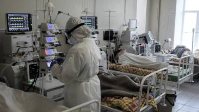 Скончались 1178 пациентов: в России обновился суточный максимум по числу летальных исходов от коронавируса