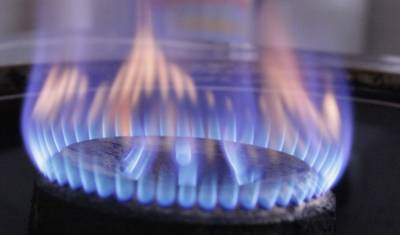 Маркус Зедер - В Германии надеются на прекращение роста цен на газ за счет «Северного потока-2» - newizv.ru - Россия - Германия