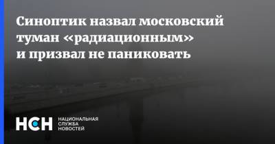 Синоптик назвал московский туман «радиационным» и призвал не паниковать