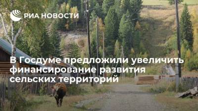 В профильном комитете Госдумы предложили увеличить финансирование развития села