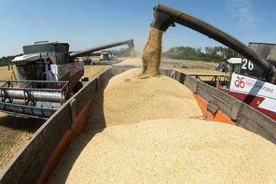 Цены на пшеницу установили девятилетний рекорд