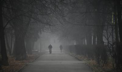 Москвичи пожаловались на «химозность» тумана