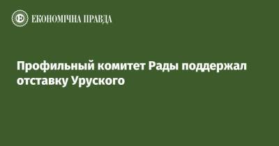 Профильный комитет Рады поддержал отставку Уруского