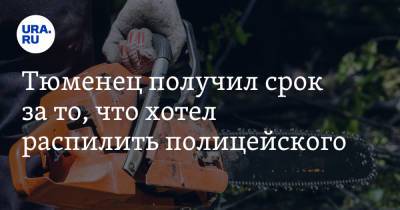 Тюменец получил срок за то, что хотел распилить полицейского. Он угрожал ему бензопилой