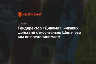 Гендиректор «Динамо»: никаких действий относительно Шипачёва мы не предпринимаем