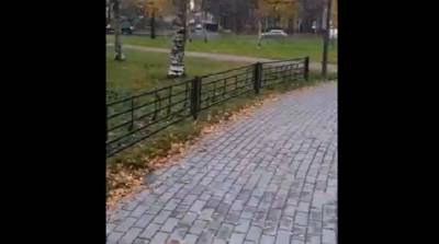Сквер на проспекте Ветеранов запел "Группу крови" Виктора Цоя