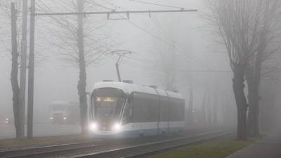 «Прыщи и пробки»: эксперты объяснили, чем опасен туман