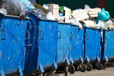 Право вывоза мусора в Кировском районе Ленобласти отдали за 703 млн рублей