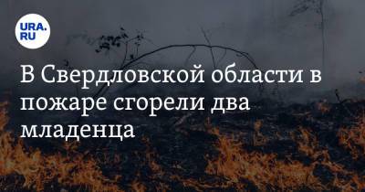 В Свердловской области в пожаре сгорели два младенца. Видео