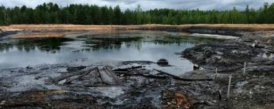 Ученые ПНИПУ создали из промышленных отходов биосорбент, очищающий почву от нефти