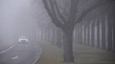 «Никакого человеческого воздействия тут нет»: синоптики оценили происхождение тумана в Московском регионе