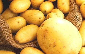 Диетолог рассказал, как картофель влияет на организм