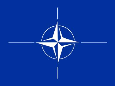 Хамарат: Украина и Грузия не вступят в НАТО, поскольку это приведёт к неуправляемым событиям