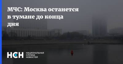 МЧС: Москва останется в тумане до конца дня