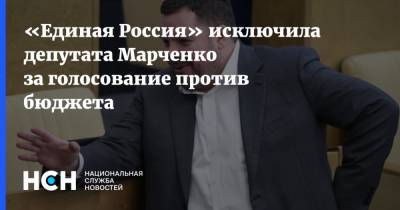 «Единая Россия» исключила депутата Марченко за голосование против бюджета