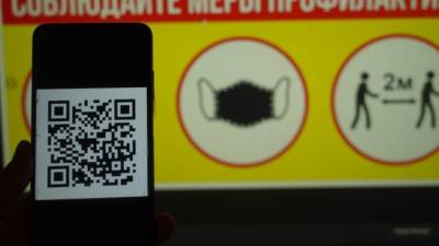 Смольный может расширить систему QR-кодов на заведения общепита в Петербурге