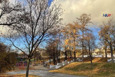 3 ноября в Рязанской области ожидается дождь и до +11 градусов