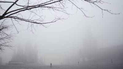 Специалист «Фобоса» Тишковец рассказал о причинах тумана в Москве