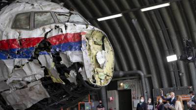 Суд перенёс на декабрь рассмотрение исков родственников жертв рейса MH17 о компенсациях