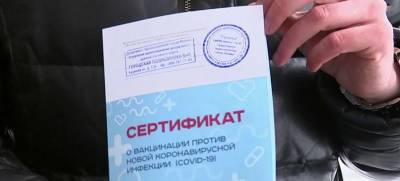 МВД России возбудило 503 уголовных дела о подделке COVID-документов