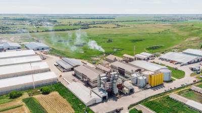 Тамбовская область получит на поддержку производителей сахара и масла 112 млн рублей
