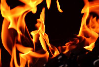 В Колпинском районе 15 человек тушили пожар 2 ноября