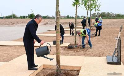 Власти Узбекистана планируют ежегодно высаживать 200 млн деревьев и кустарников. Главное, чтобы они не высохли