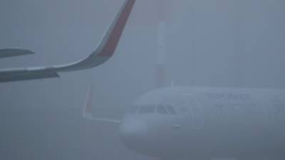 Из-за тумана в Москве более 70 самолетов ушли на запасные аэродромы