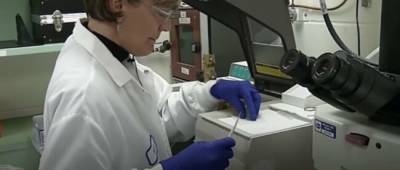 Украинские ученые начали испытания уникальной COVID-вакцины