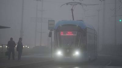 Эколог рассказал об опасности густого тумана