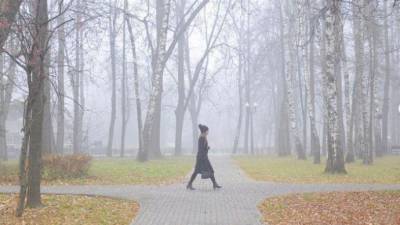 Московские парки поделились в соцсетях туманными пейзажами