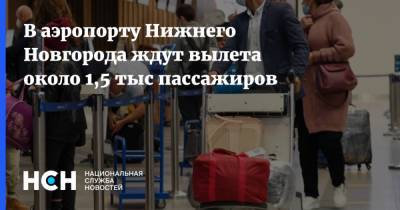 В аэропорту Нижнего Новгорода ждут вылета около 1,5 тыс пассажиров