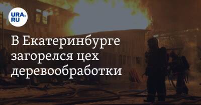 В Екатеринбурге загорелся цех деревообработки. Площадь пожара 1200 квадратных метров