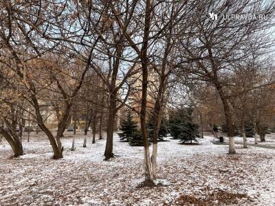 Налипание мокрого снега и гололёд. Погода в Ульяновской области 20 ноября