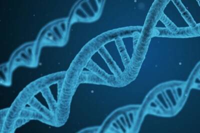 Японские учёные создали первую искусственную геномную ДНК